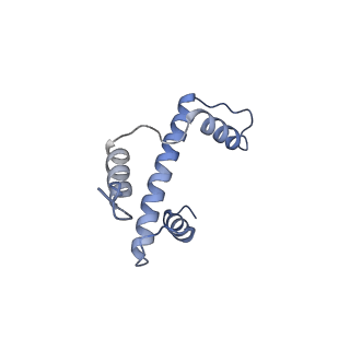 33385_7xpx_A_v1-0
Cryo-EM structure of the histone methyltransferase SET8 bound to H4K20Ecx-nucleosome