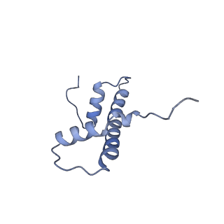 33385_7xpx_B_v1-0
Cryo-EM structure of the histone methyltransferase SET8 bound to H4K20Ecx-nucleosome