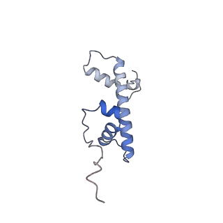 33385_7xpx_C_v1-0
Cryo-EM structure of the histone methyltransferase SET8 bound to H4K20Ecx-nucleosome