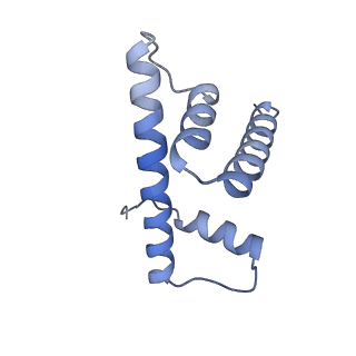 33385_7xpx_D_v1-0
Cryo-EM structure of the histone methyltransferase SET8 bound to H4K20Ecx-nucleosome