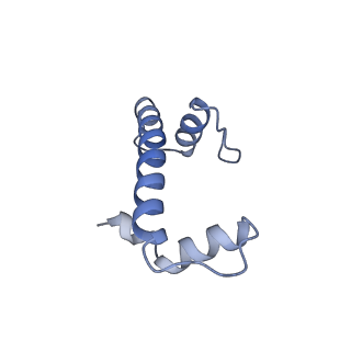 33385_7xpx_F_v1-0
Cryo-EM structure of the histone methyltransferase SET8 bound to H4K20Ecx-nucleosome