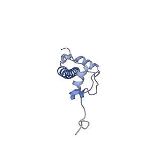33385_7xpx_G_v1-0
Cryo-EM structure of the histone methyltransferase SET8 bound to H4K20Ecx-nucleosome