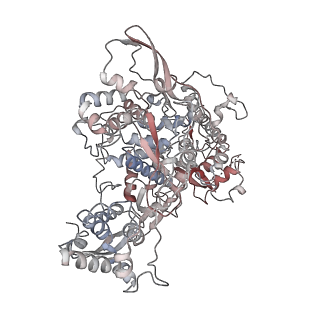 22288_6xqb_A_v1-1
SARS-CoV-2 RdRp/RNA complex
