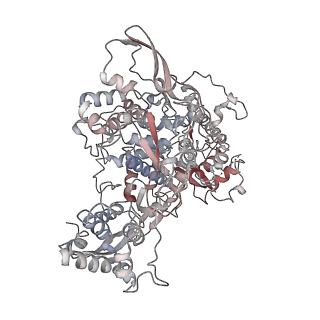 22288_6xqb_A_v1-2
SARS-CoV-2 RdRp/RNA complex