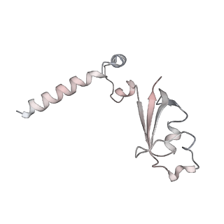 22288_6xqb_B_v1-1
SARS-CoV-2 RdRp/RNA complex