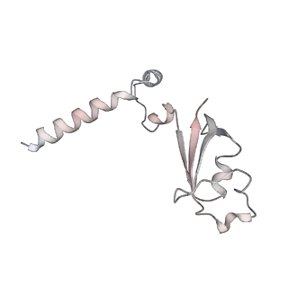 22288_6xqb_B_v1-2
SARS-CoV-2 RdRp/RNA complex