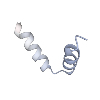 22288_6xqb_D_v1-1
SARS-CoV-2 RdRp/RNA complex