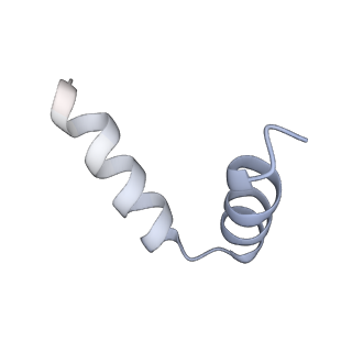 22288_6xqb_D_v1-2
SARS-CoV-2 RdRp/RNA complex