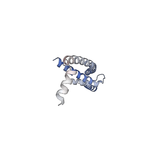 22290_6xqn_A_v1-3
Structure of a mitochondrial calcium uniporter holocomplex (MICU1, MICU2, MCU, EMRE) in low Ca2+