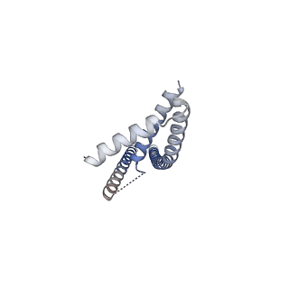 22290_6xqn_B_v1-2
Structure of a mitochondrial calcium uniporter holocomplex (MICU1, MICU2, MCU, EMRE) in low Ca2+