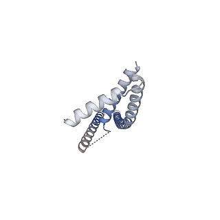 22290_6xqn_B_v1-3
Structure of a mitochondrial calcium uniporter holocomplex (MICU1, MICU2, MCU, EMRE) in low Ca2+