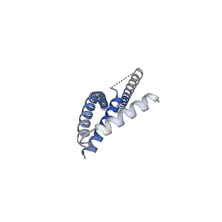 22290_6xqn_D_v1-2
Structure of a mitochondrial calcium uniporter holocomplex (MICU1, MICU2, MCU, EMRE) in low Ca2+