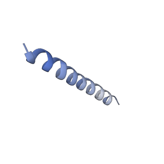 22290_6xqn_E_v1-3
Structure of a mitochondrial calcium uniporter holocomplex (MICU1, MICU2, MCU, EMRE) in low Ca2+