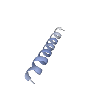 22290_6xqn_H_v1-3
Structure of a mitochondrial calcium uniporter holocomplex (MICU1, MICU2, MCU, EMRE) in low Ca2+