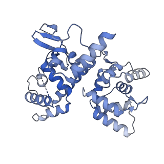 22290_6xqn_I_v1-3
Structure of a mitochondrial calcium uniporter holocomplex (MICU1, MICU2, MCU, EMRE) in low Ca2+