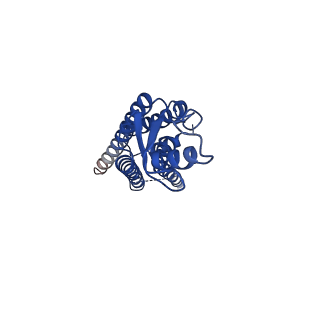 33391_7xq9_B_v1-1
Structure of connexin43/Cx43/GJA1 gap junction intercellular channel in GDN detergents at pH ~8.0