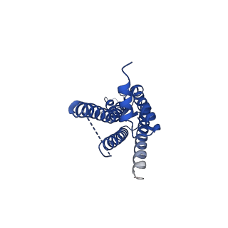 33391_7xq9_G_v1-1
Structure of connexin43/Cx43/GJA1 gap junction intercellular channel in GDN detergents at pH ~8.0