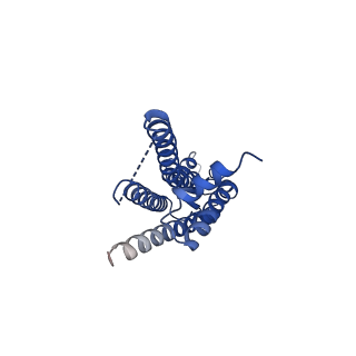 33391_7xq9_H_v1-1
Structure of connexin43/Cx43/GJA1 gap junction intercellular channel in GDN detergents at pH ~8.0