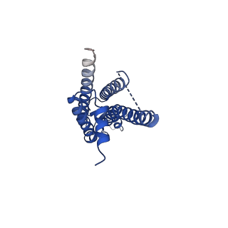 33391_7xq9_J_v1-1
Structure of connexin43/Cx43/GJA1 gap junction intercellular channel in GDN detergents at pH ~8.0