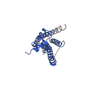 33391_7xq9_K_v1-1
Structure of connexin43/Cx43/GJA1 gap junction intercellular channel in GDN detergents at pH ~8.0