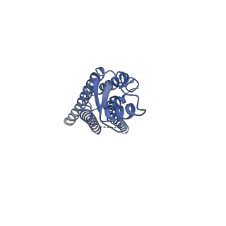 33392_7xqb_B_v1-1
Structure of connexin43/Cx43/GJA1 gap junction intercellular channel in POPE/CHS nanodiscs at pH ~8.0