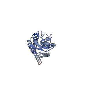 33392_7xqb_C_v1-1
Structure of connexin43/Cx43/GJA1 gap junction intercellular channel in POPE/CHS nanodiscs at pH ~8.0