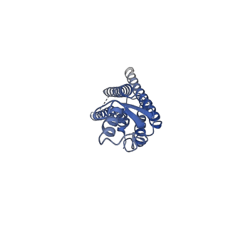 33392_7xqb_F_v1-1
Structure of connexin43/Cx43/GJA1 gap junction intercellular channel in POPE/CHS nanodiscs at pH ~8.0