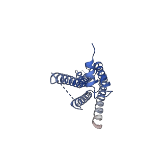 33392_7xqb_G_v1-1
Structure of connexin43/Cx43/GJA1 gap junction intercellular channel in POPE/CHS nanodiscs at pH ~8.0