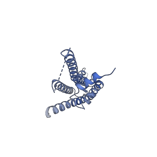 33392_7xqb_H_v1-1
Structure of connexin43/Cx43/GJA1 gap junction intercellular channel in POPE/CHS nanodiscs at pH ~8.0