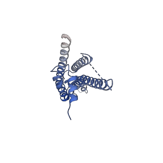 33392_7xqb_J_v1-1
Structure of connexin43/Cx43/GJA1 gap junction intercellular channel in POPE/CHS nanodiscs at pH ~8.0