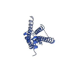 33393_7xqd_J_v1-1
Structure of C-terminal truncated connexin43/Cx43/GJA1 gap junction intercellular channel in POPE/CHS nanodiscs (C1 symmetry)