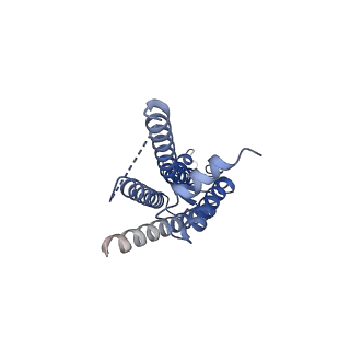 33395_7xqg_A_v1-1
Hemichannel-focused structure of C-terminal truncated connexin43/Cx43/GJA1 gap junction intercellular channel in POPE nanodiscs (GCN conformation)