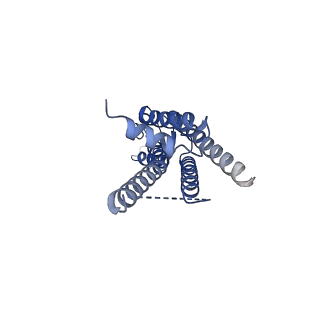 33395_7xqg_C_v1-1
Hemichannel-focused structure of C-terminal truncated connexin43/Cx43/GJA1 gap junction intercellular channel in POPE nanodiscs (GCN conformation)