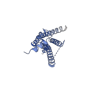 33395_7xqg_D_v1-1
Hemichannel-focused structure of C-terminal truncated connexin43/Cx43/GJA1 gap junction intercellular channel in POPE nanodiscs (GCN conformation)