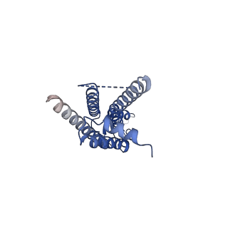 33395_7xqg_F_v1-1
Hemichannel-focused structure of C-terminal truncated connexin43/Cx43/GJA1 gap junction intercellular channel in POPE nanodiscs (GCN conformation)