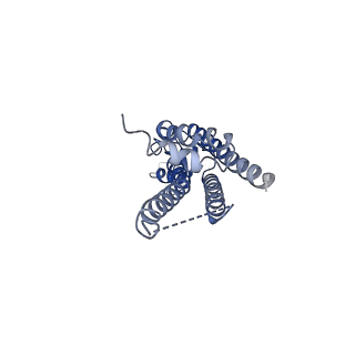 33396_7xqh_B_v1-1
Hemichannel-focused structure of C-terminal truncated connexin43/Cx43/GJA1 gap junction intercellular channel in POPE nanodiscs (GCN-TM1i conformation)