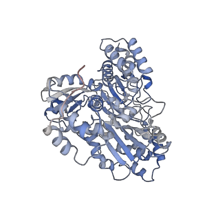 33402_7xqw_B_v1-0
Formate dehydrogenase (FDH) from Methylobacterium extorquens AM1 (MeFDH1)