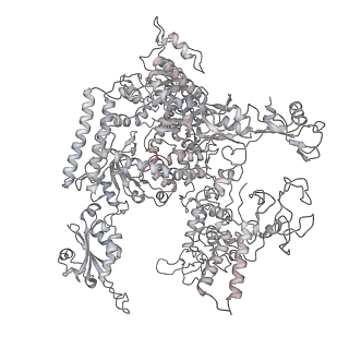 22294_6xre_A_v1-1
Structure of the p53/RNA polymerase II assembly