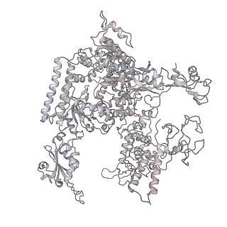 22294_6xre_A_v1-2
Structure of the p53/RNA polymerase II assembly