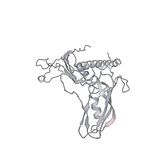 22294_6xre_C_v1-1
Structure of the p53/RNA polymerase II assembly