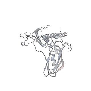 22294_6xre_C_v1-2
Structure of the p53/RNA polymerase II assembly