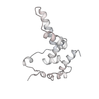 22294_6xre_D_v1-1
Structure of the p53/RNA polymerase II assembly