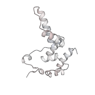 22294_6xre_D_v1-2
Structure of the p53/RNA polymerase II assembly