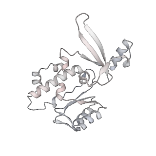 22294_6xre_E_v1-1
Structure of the p53/RNA polymerase II assembly