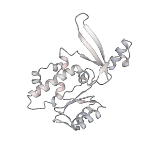 22294_6xre_E_v1-2
Structure of the p53/RNA polymerase II assembly