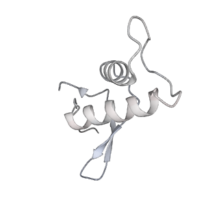 22294_6xre_F_v1-1
Structure of the p53/RNA polymerase II assembly