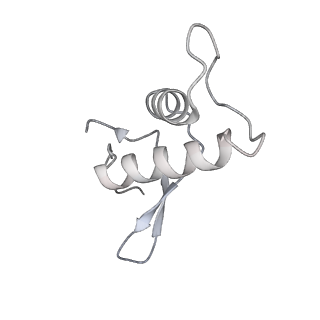 22294_6xre_F_v1-2
Structure of the p53/RNA polymerase II assembly