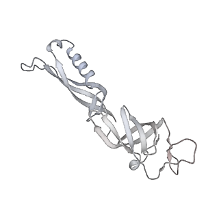 22294_6xre_G_v1-1
Structure of the p53/RNA polymerase II assembly