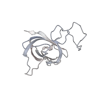 22294_6xre_H_v1-1
Structure of the p53/RNA polymerase II assembly