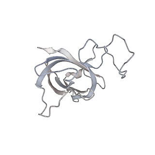 22294_6xre_H_v1-2
Structure of the p53/RNA polymerase II assembly